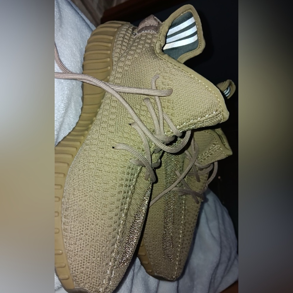 Adidas Yeezy Boost 350 V2 Earth